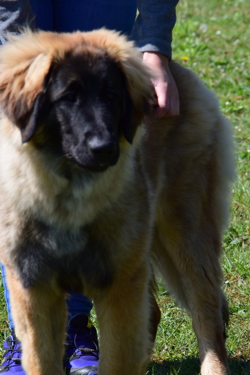 DSC 0749 Kopie