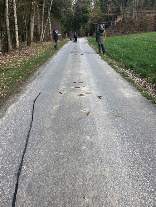 IMG 7565